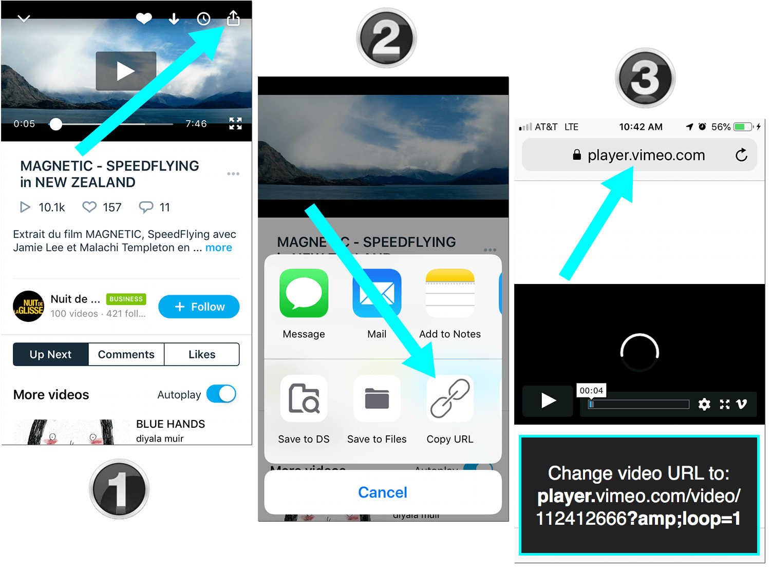 How to Loop a  video on Mobile 