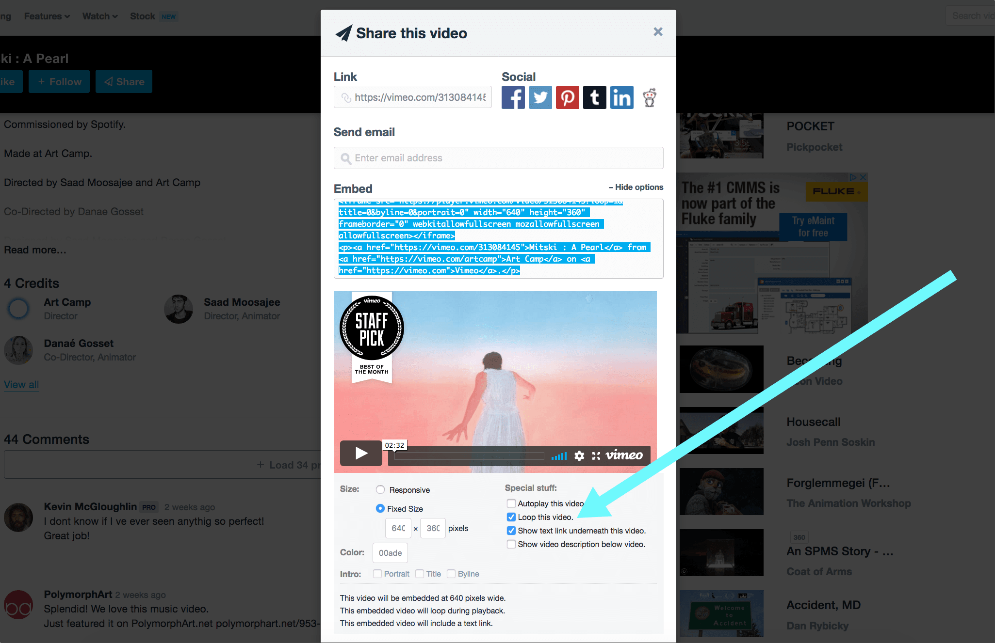 Embed your Vimeo videos and loop them