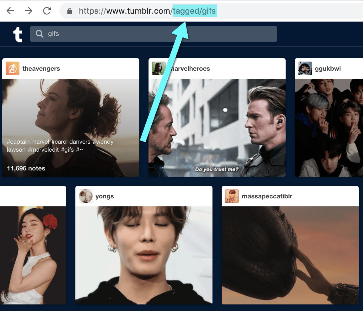 Tumblr tag search