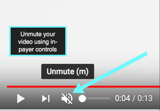 Check your video in-player is not muted