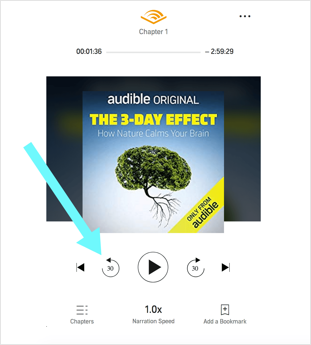 Download Audible Cloud Player Mac